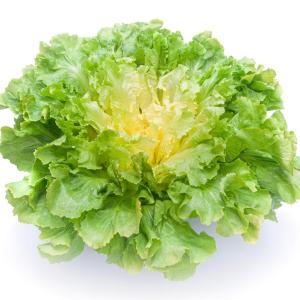 ORIOSOL RZ